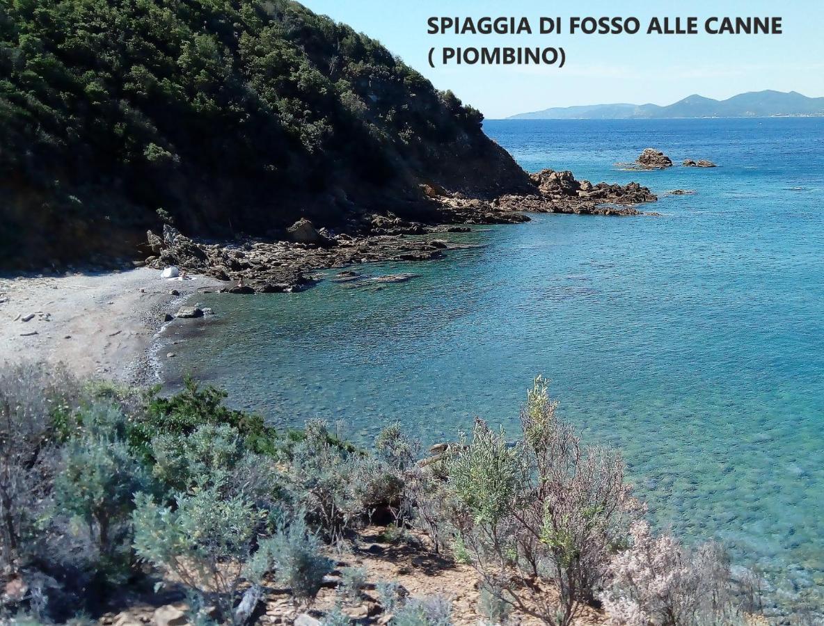 Spazio-Confort-Fitness Piombino Exterior photo